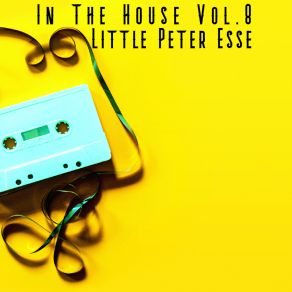 Download track Fiesta Dub (Main Mix) Little Peter Esse