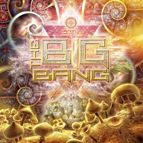 Download track San Pedro The Big Bang