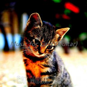 Download track Alluring Cats Cat Music Beats