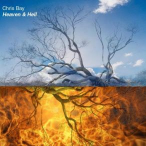 Download track Elevation Chris Bay