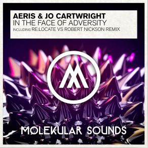 Download track In The Face Of Adversity (Re Locate Vs. Robert Nickson Remix) Aeris, Jo CartwrightRe: Locate