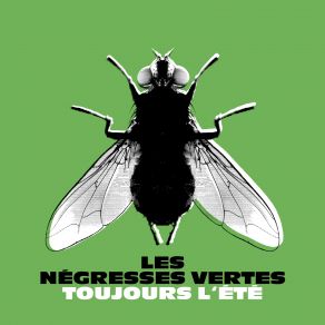 Download track La Danse Des Négresses Vertes Les Negresses Vertes