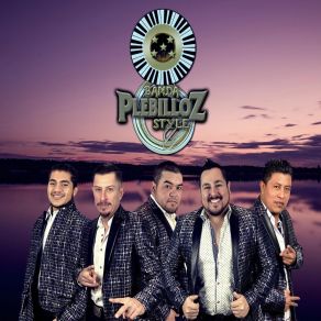 Download track Llegaste Banda Plebilloz Style