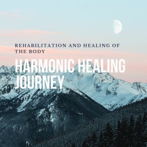 Download track Body Harmony Serenade Rehabilitation