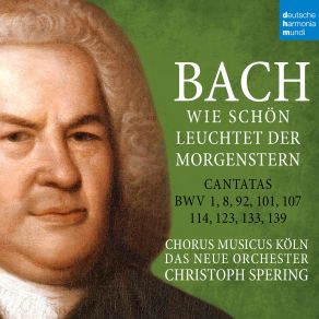 Download track Ich Hab In Gottes Herz Und Sinn, BWV 92- III. Seht, Seht! Wie Reißt, Wie Bricht, Wie Fällt (Aria) Christoph SperingAria