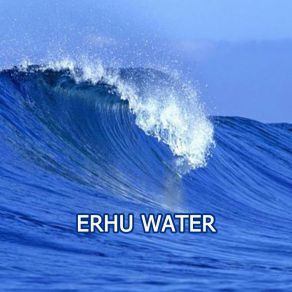 Download track Sea Of Blessing Erhu Water