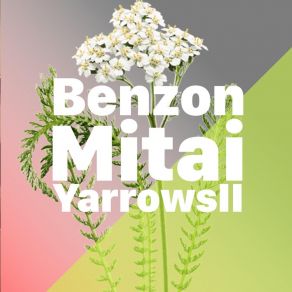 Download track Egoist Benzon Mitai