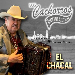 Download track Jose Fuentes Los Cachorros De Juan Villarreal