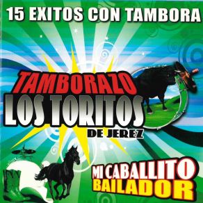 Download track La Guacamaya Tamborazo Los Toritos De Jerez