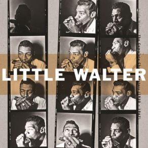 Download track I Love You So (Oh Baby) Little Walter