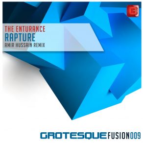 Download track Rapture (Amir Hussain Remix) The Enturance