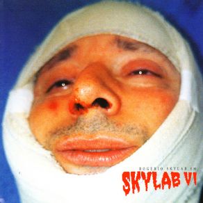 Download track Todo Mundo Mora Mal Rogério Skylab