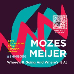 Download track Where's It Going And Where's It At (Goyanu Remix) Mozes MeijerGoyanu