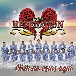 Download track Sones A La Seleccion Michoacana Banda Revelacion