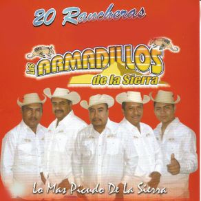 Download track Tres Finados Los Armadillos De La Sierra