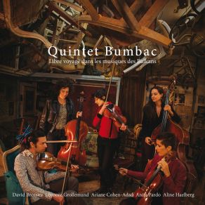 Download track Hicaz Çiftetelli Quintet Bumbac