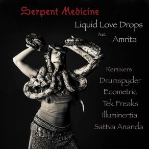 Download track Serpent Medicine (Drumspyder Remix) Liquid Love DropsAmrita