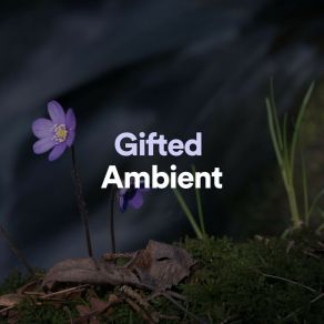 Download track Gifted Ambient, Pt. 10 Musique Zen