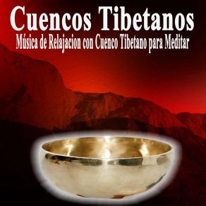 Download track Tranquilidad De Espíritu Cuencos Tibetanos