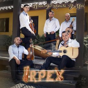 Download track Los Pinos Y Los Ciruelos Arpex