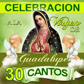 Download track Yo Te Canto Virgencita Platino All-Stars