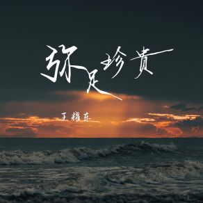 Download track 弥足珍贵 (伴奏) 王耀东