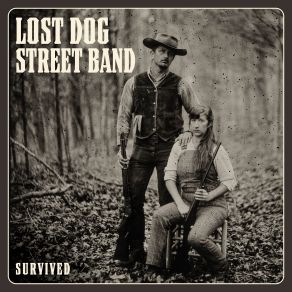 Download track Hubbardville Store Lost Dog Street Band