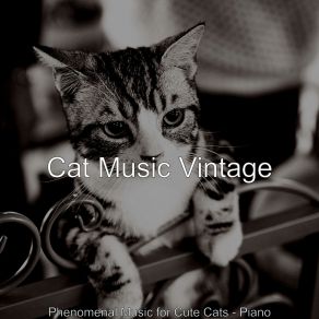 Download track Majestic Ambiance For Relaxing Your Cat Cat Music Vintage