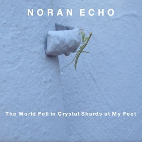 Download track Noran Echo - N. N. 4 Perpetual Motion Noran Echo