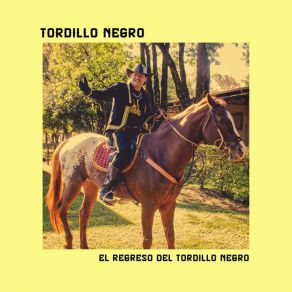 Download track Cabure'i Ragüe Tordillo Negro