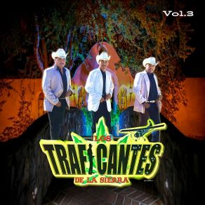 Download track La Viuda (En Vivo) Los Traficantes De La Sierra