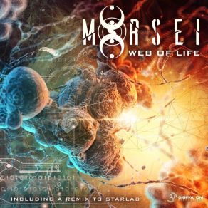 Download track Web Of Life (Original) MoRsei