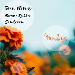 Download track Mondays (Instrumental Radio Edit) Miruna Sziklai