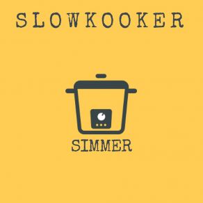 Download track Since You Came Along Slowkooker