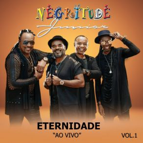 Download track Tanajura (Ao Vivo) Negritude Junior