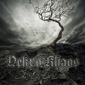 Download track At The Gates Of The Asylum Nekro Khaos