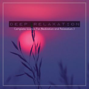 Download track Complete Silence For Meditation And Relaxation, Pt. 3 Craig Hewitt