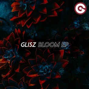 Download track Shadows Glisz