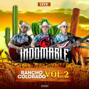 Download track Los Besos No Se Piden (Live) Grupo Indomable