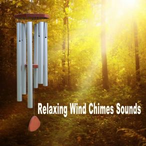 Download track Nature's Melody Wind Chimes, Pt. 7 Relaxing Wind Chimes Sounds