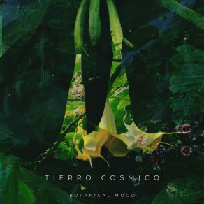 Download track El Lamento De Brugmasia Tierro Cosmico