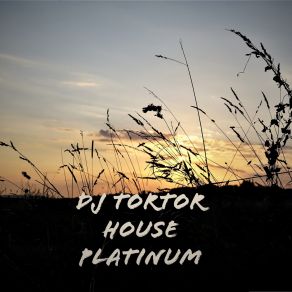 Download track Repas Tordu Dj Tortor