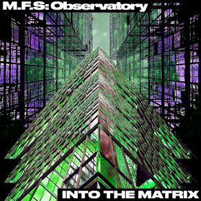 Download track Flue (Original Mix) M. F. S Observatory