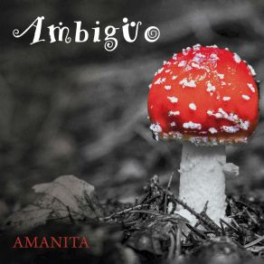 Download track Déjame Entrar Ambiguo