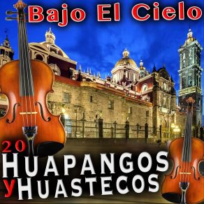 Download track Bajo El Cielo Huastecos