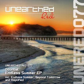 Download track Amplified (Original Mix) Odonbat