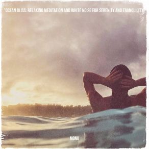 Download track Ocean White Noise, Pt. 17 Monu