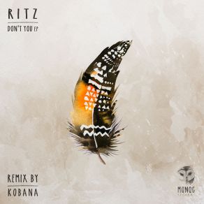 Download track Lilt (Kobana Remix) Ritz