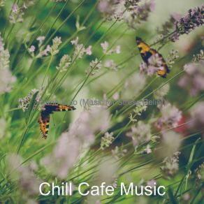 Download track Ambiance For Stress Relief Chill Cafe Music