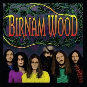 Download track Linda's Song Birnam Wood Band